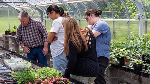 学生们在导师的指导下在温室里检查种植的植物