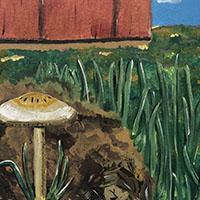 Mushroom Macro by Hannah Bowers